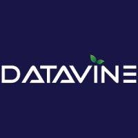 datavine