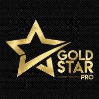 gold star pro logo image