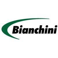 bianchini s.a. logo image