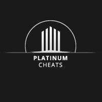 platinum digital group llc logo image