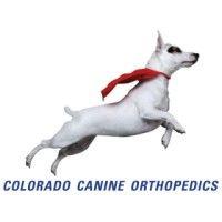 colorado canine orthopedics logo image