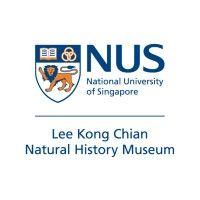 lee kong chian natural history museum, national university of singapore