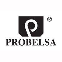 c.a. probelsa logo image