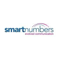 smart numbers ltd logo image