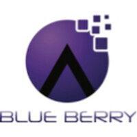 blue berry e-services private limited logo image