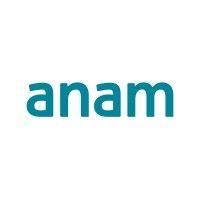 anam technologies ltd logo image