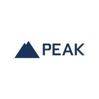 groupe financier peak / peak financial group logo image