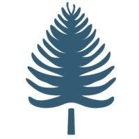 northern pine partners logo image