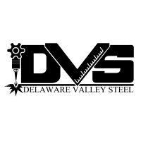 delaware valley steel logo image