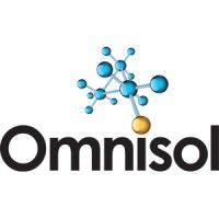 omnisol information systems logo image