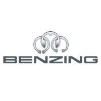 hugo benzing llc logo image