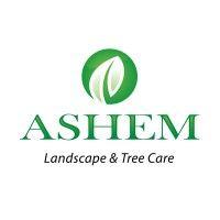 ashem & company logo image