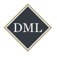 the law offices of david m. levin logo image