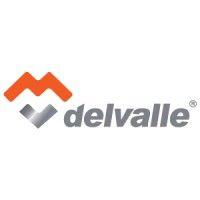 delvalle global solutions logo image