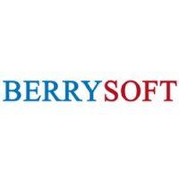 berrysoft consulting llc