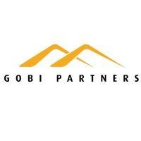 gobi partners logo image