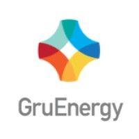 gruenergy logo image