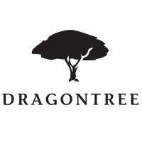 dragon tree capital logo image