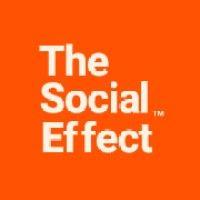 the social effect logo image