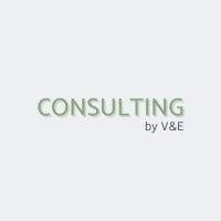 consulting by v&e