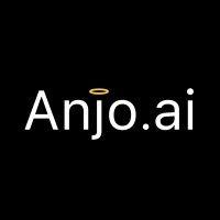 anjo.ai logo image