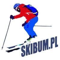 skibum.pl logo image