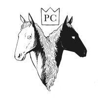 pony club co logo image