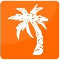 palm tree branding & web design