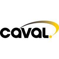 caval ltd logo image