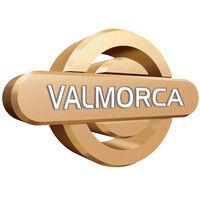 laboratorios valmorca logo image