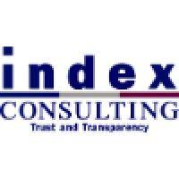 index consulting, inc logo image