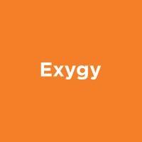 exygy logo image