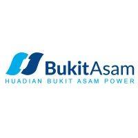 pt huadian bukit asam power