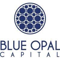 blue opal capital logo image