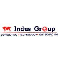 indus group inc logo image