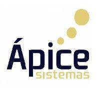 apice consultoria e sistemas logo image