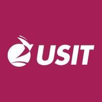 usit logo image