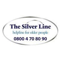 the silver line logo image