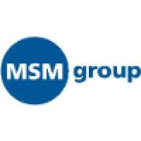 msm group ag logo image