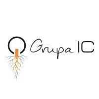 grupa ic logo image