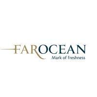 far ocean group (retail) logo image