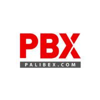 palibex logo image