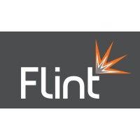 flint property group ltd logo image