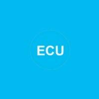 european coaching university logo image