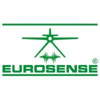 eurosense logo image