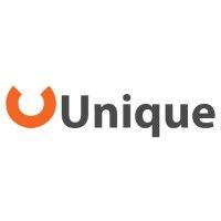 unique corporate limited logo image