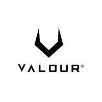 valour logo image