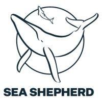 sea shepherd conservation society logo image