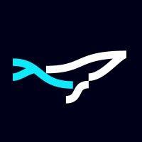 ywhales logo image