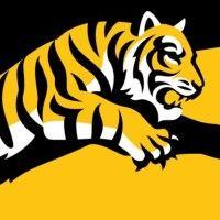 tiger teams logo image